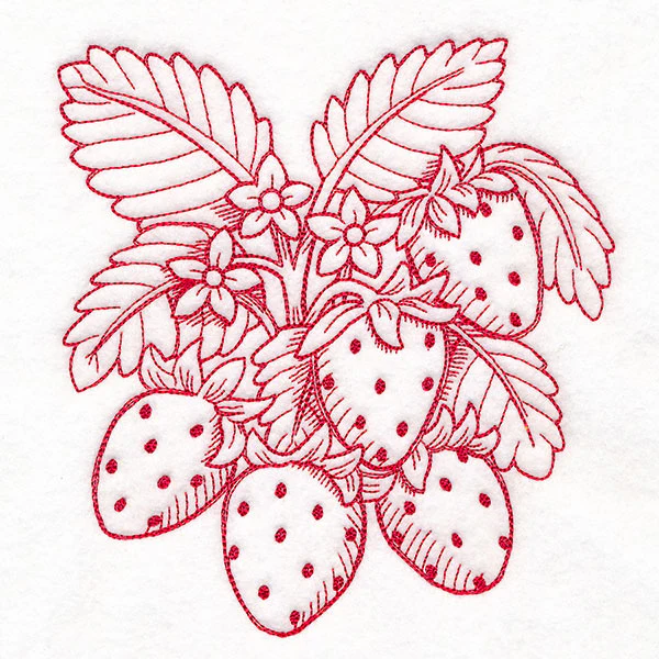 Fresh From Harvest Strawberries Etching - Image 2