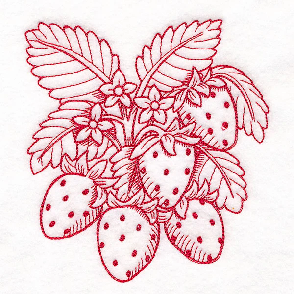 Fresh From Harvest Strawberries Etching - Image 3