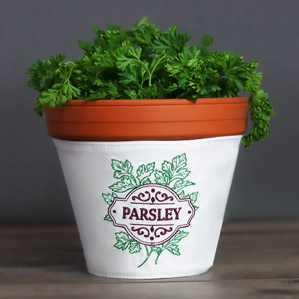 Fresh From the Garden - Parsley - Image 10