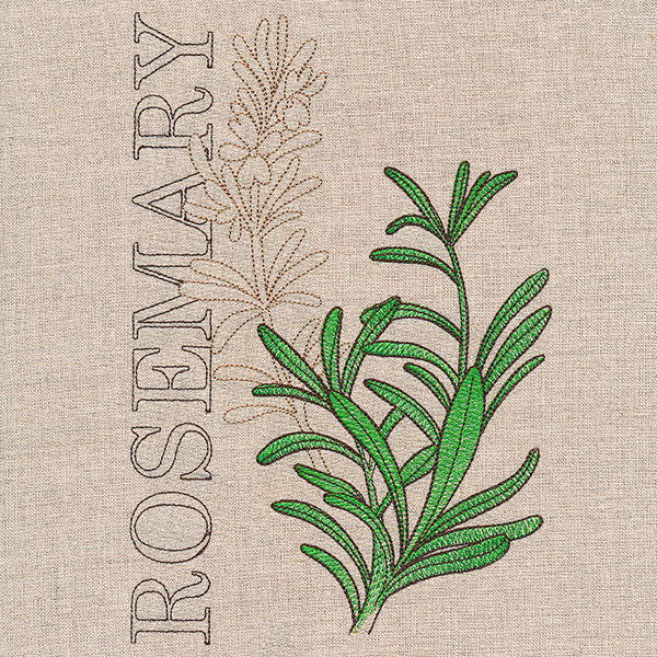 Fresh Rosemary Medley - Image 2