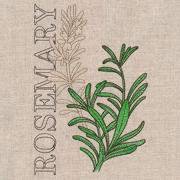 Fresh Rosemary Medley - Image 4