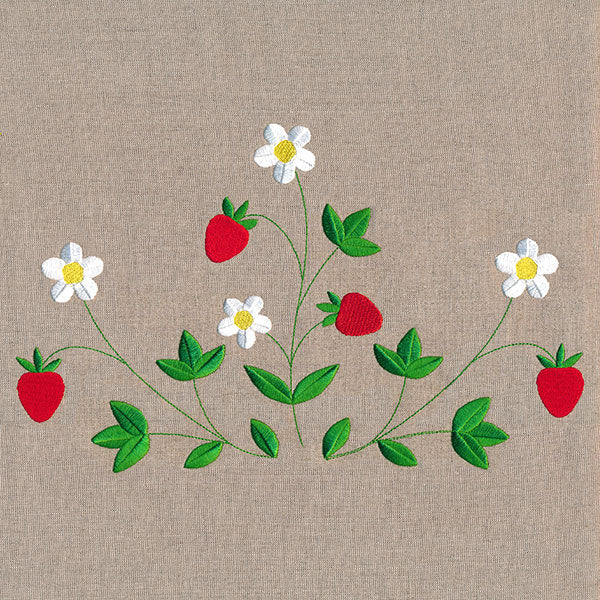 Fresh Strawberries in Bloom Feature - Image 11