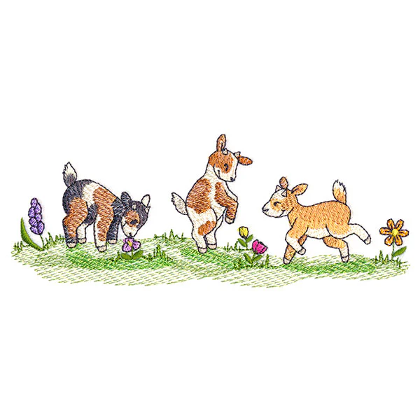 Frolicking Baby Goats - Image 4
