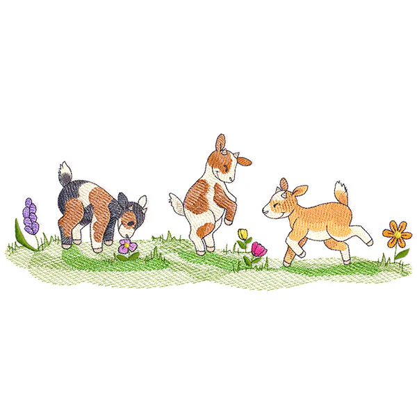 Frolicking Baby Goats - Image 5