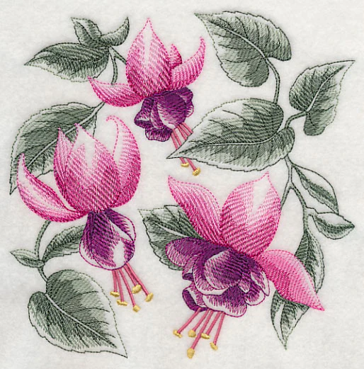 Fuchsia Sketch - Image 2