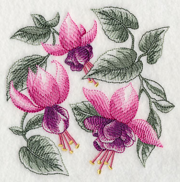 Fuchsia Sketch - Image 4