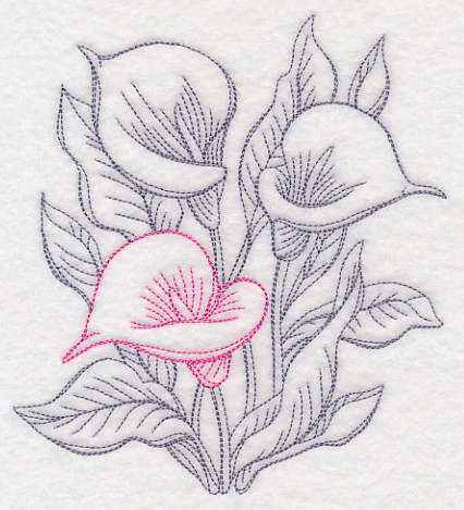 Garden Calla Lily Etching - Image 3