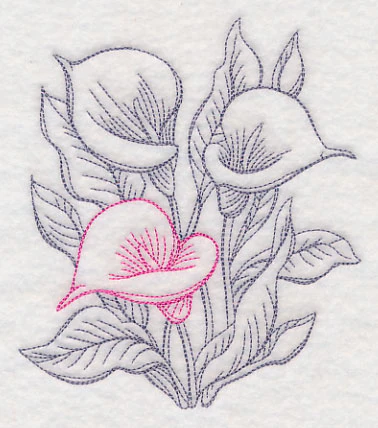 Garden Calla Lily Etching - Image 4