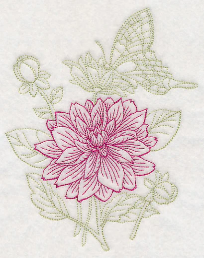 Garden Dahlia Etching - Image 3