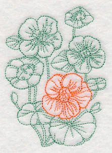 Garden Nasturtium Etching - Image 5