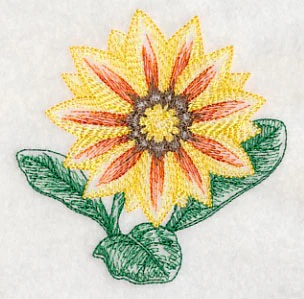 Gazania Beauty - Image 5