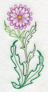 Gazania (Vintage) - Image 4