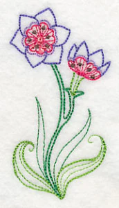 Geissorhiza (Vintage) - Image 4