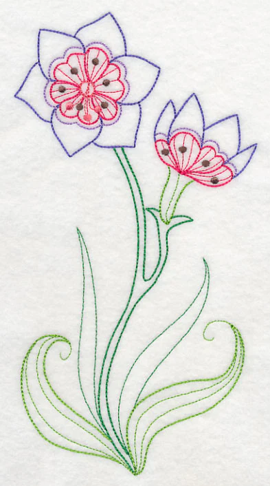 Geissorhiza (Vintage) - Image 5