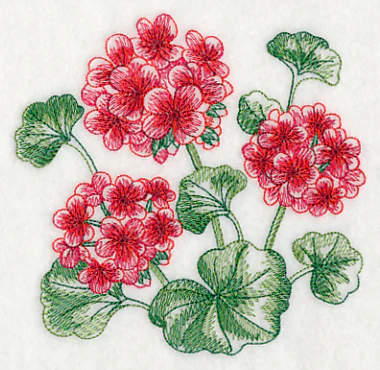 Geranium Sketch - Image 4