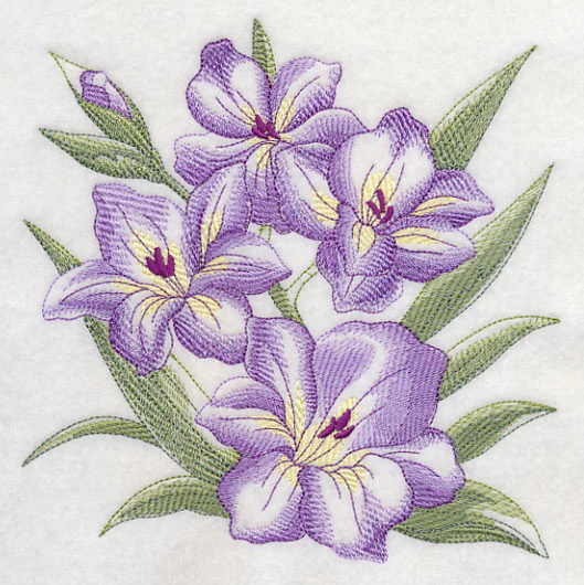 Gladiolus Sketch - Image 2