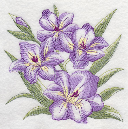 Gladiolus Sketch - Image 3