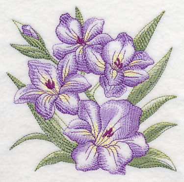 Gladiolus Sketch - Image 4