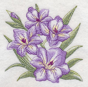 Gladiolus Sketch - Image 5