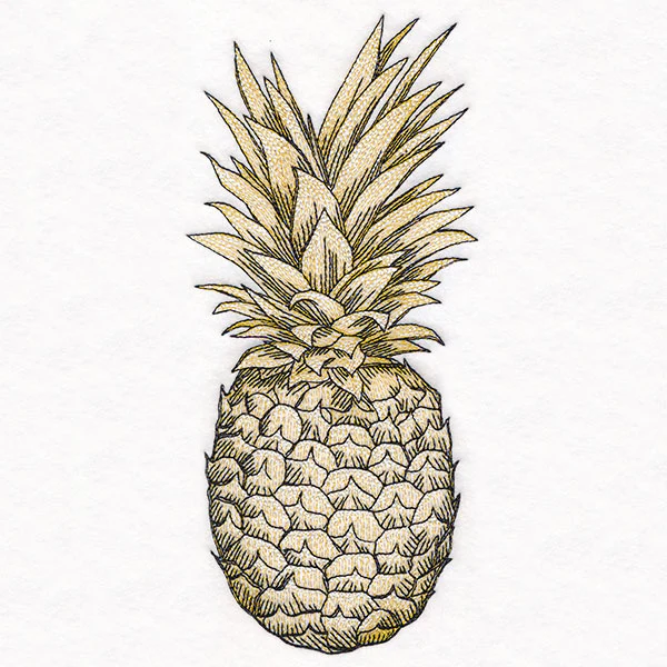 Glorious and Golden Pineapple Etching - Image 3