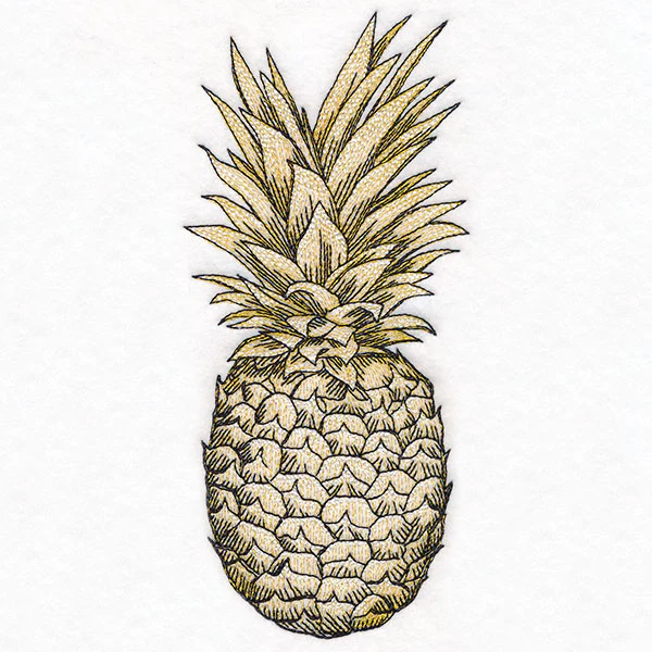 Glorious and Golden Pineapple Etching - Image 4