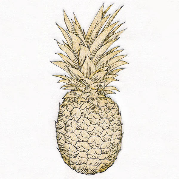 Glorious and Golden Pineapple Etching - Image 5
