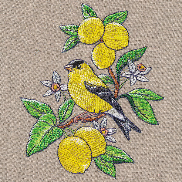 Glorious Goldfinch and Lemons - Image 5