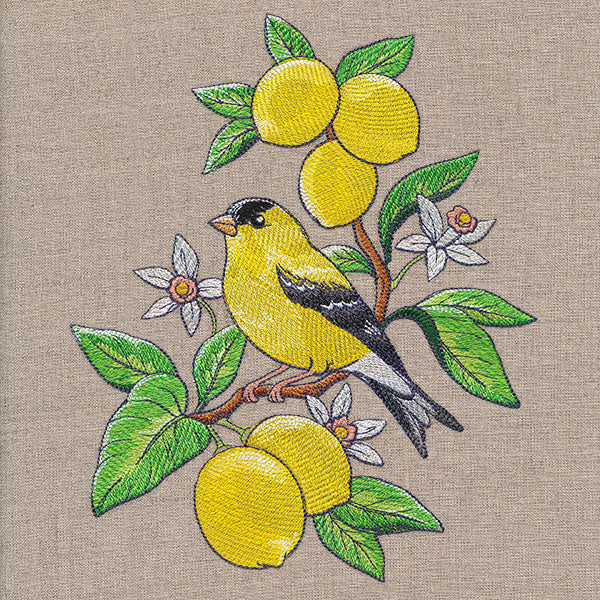 Glorious Goldfinch and Lemons - Image 7