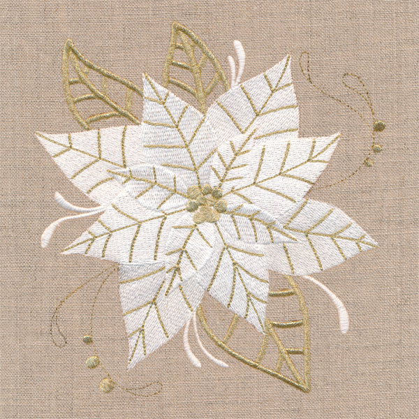 Golden Glamour Poinsettia - Image 2