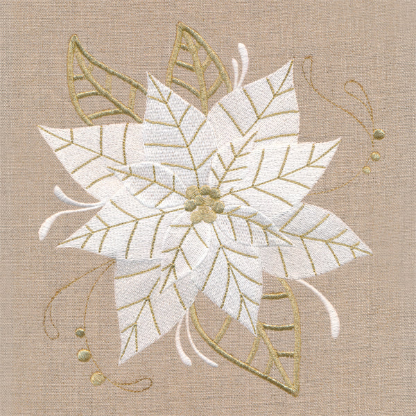 Golden Glamour Poinsettia - Image 5