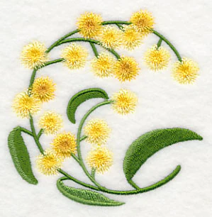 Golden Wattle - Image 5