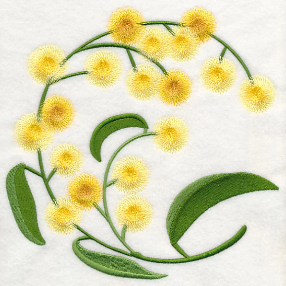 Golden Wattle - Image 6