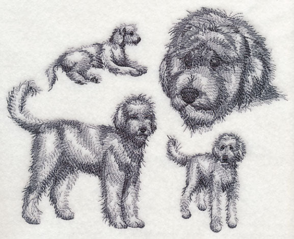 Goldendoodle Sketch - Image 2