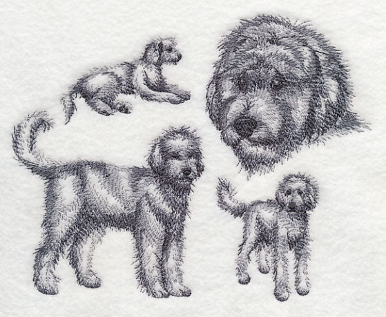 Goldendoodle Sketch - Image 3
