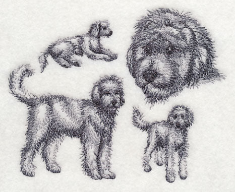 Goldendoodle Sketch - Image 4
