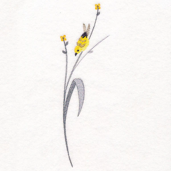 Goldfinch and Fields Accent - Image 3