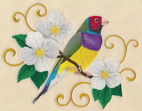 Gouldian Finch with Filigree - Image 2