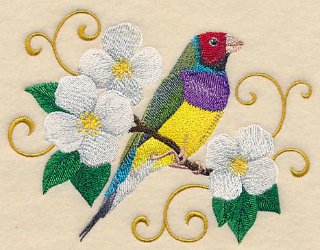 Gouldian Finch with Filigree - Image 3