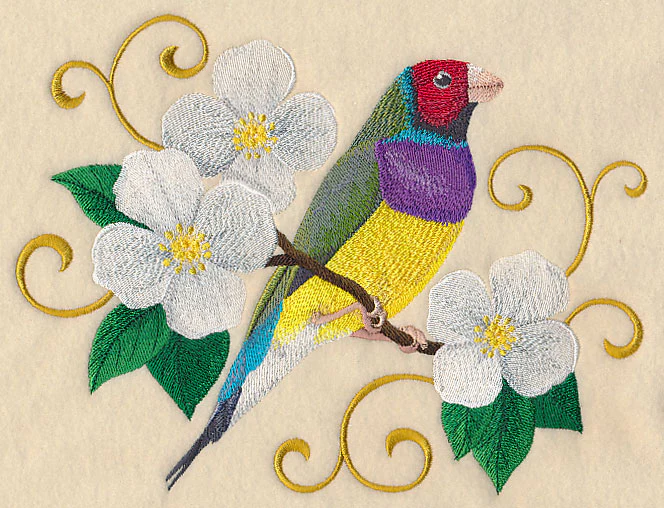 Gouldian Finch with Filigree - Image 4