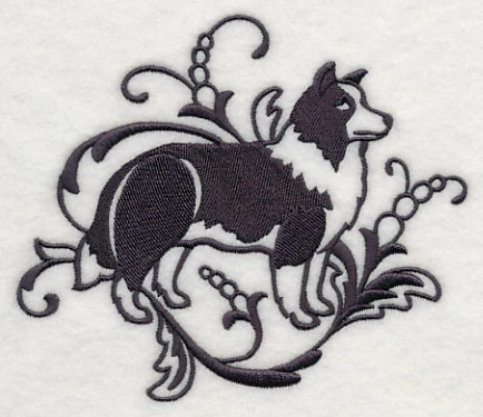 Graceful Border Collie