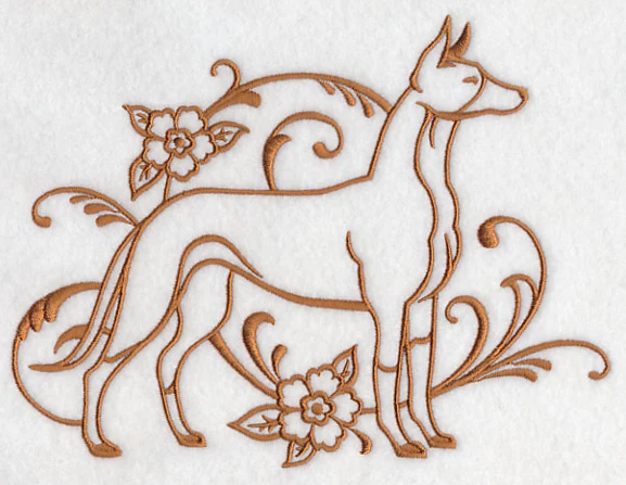 Graceful Ibizan Hound