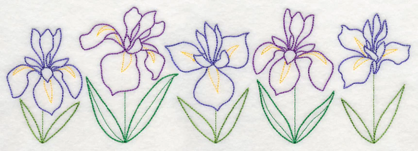 Graceful Iris Border (Vintage) - Image 6