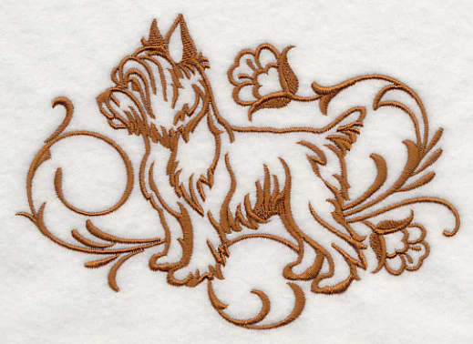 Graceful Yorkshire Terrier - Image 3