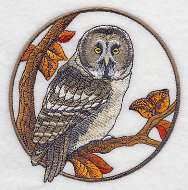 Great Grey Owl in Autumn - Image 4