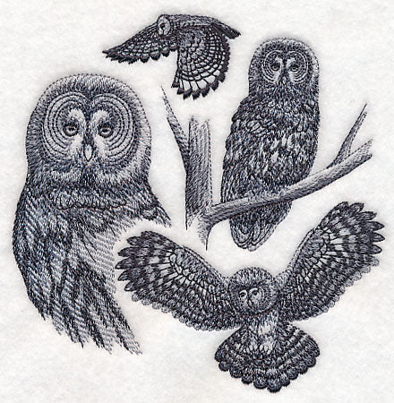 Great Grey Owl Sketch - Image 3