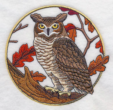 Great Horned Owl in Autumn - Image 4