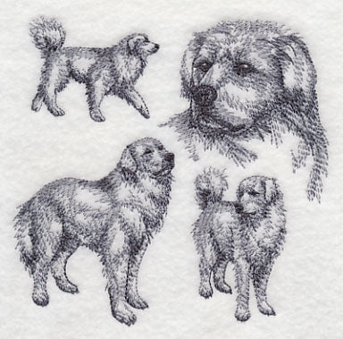 Great Pyrenees Sketch - Image 4