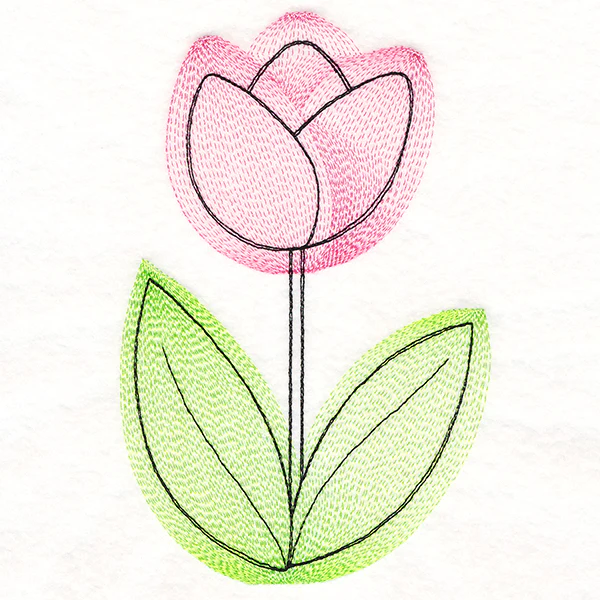 Growing Garden Tulip - Image 4