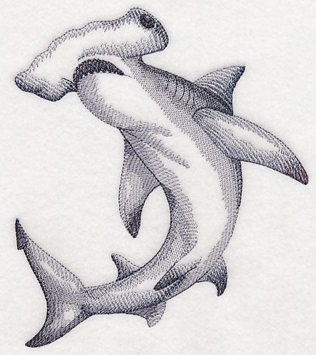 Hammerhead Shark Sketch - Image 2
