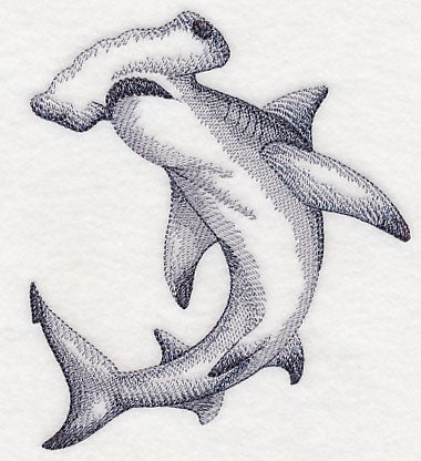 Hammerhead Shark Sketch - Image 3